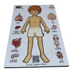 پازل چوبی بدن انسان آویداک