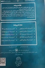 پرونده سقوط (مختاپوس) - تصویر 2