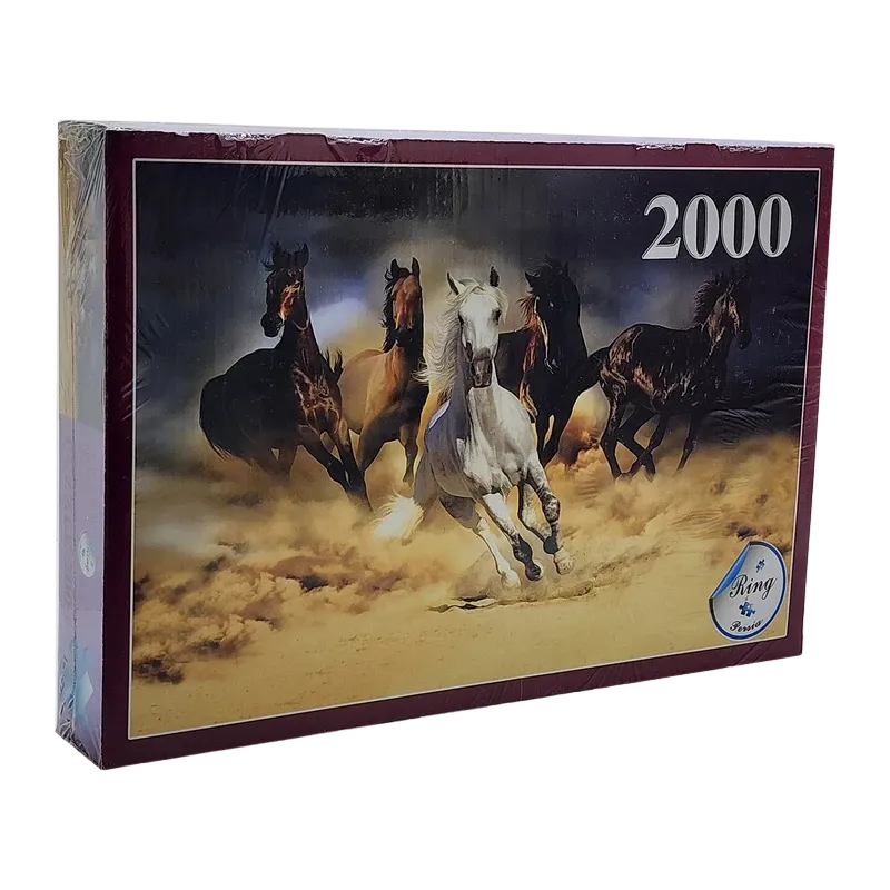 پازل 2000 تكه (رينگ)